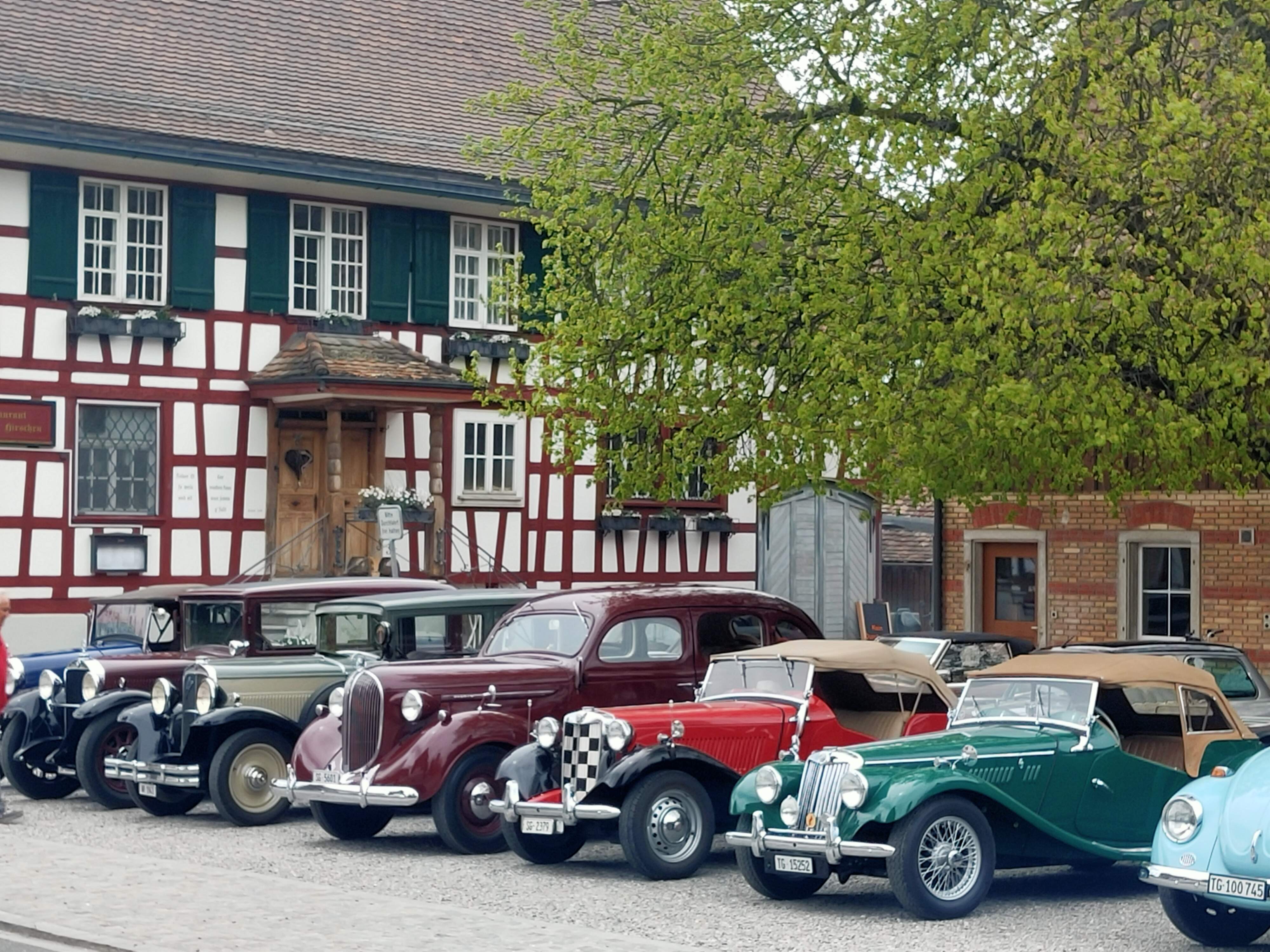 Fleischparty für Bankett